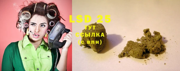 ПСИЛОЦИБИНОВЫЕ ГРИБЫ Лиски