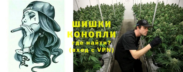 ПСИЛОЦИБИНОВЫЕ ГРИБЫ Лиски